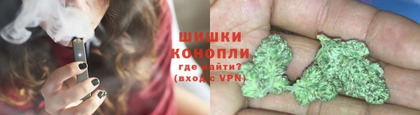 Альфа ПВП Белокуриха