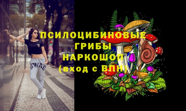 jwh Богородск