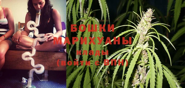 крисы Богданович
