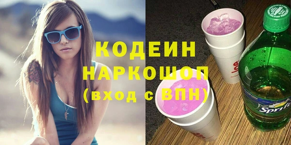 МДПВ Бородино