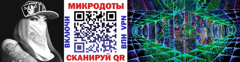 Галлюциногенные грибы Psilocybe Усть-Катав